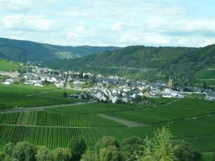 Uitzicht vanuit de bus over de wijnranken