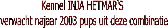 Kennel INJA HETMAR'S 
verwacht najaar 2003 pups uit deze combinatie
