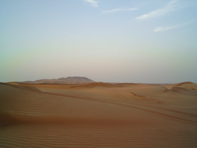 woestijnsafaridag78.jpg