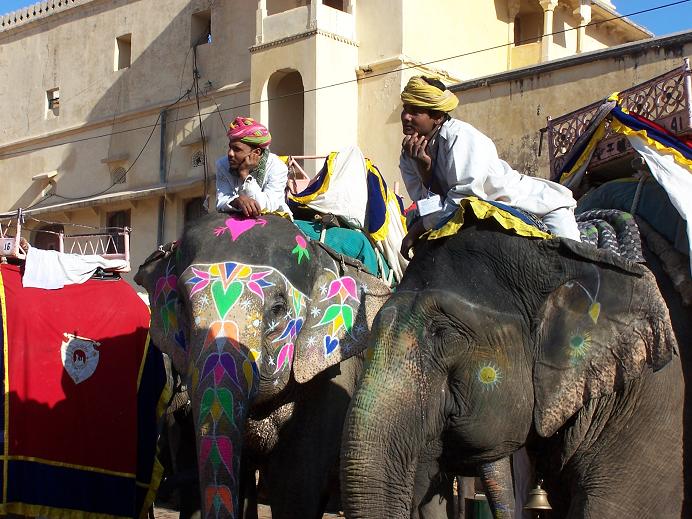 Olifanten staan te wachten om toeristen naar het fort in Jaipur te brengen