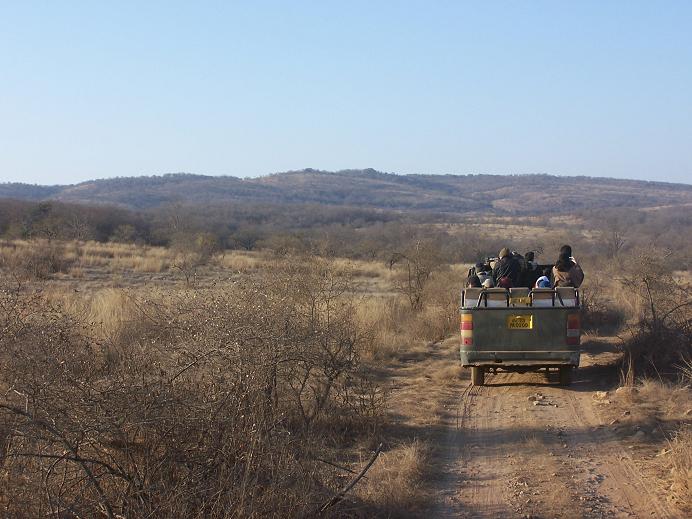 Canter in Ranthambore NP