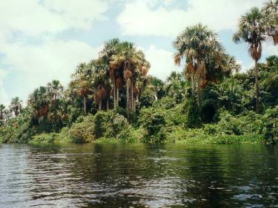 The Amazone, Venezuela