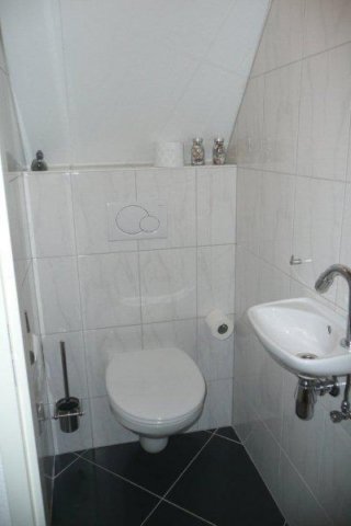 toilet2.jpg