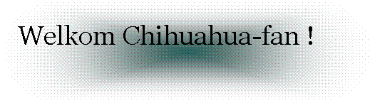 Afgeronde rechthoek: Welkom Chihuahua-fan !