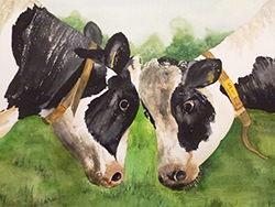 Twee koeie-koppen geschilderd