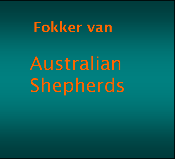 Tekstvak:            Fokker van    Australian     Shepherds