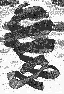 (M.C. Escher - Omhulsel)