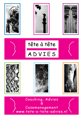 www.tete-a-tete-advies.nl