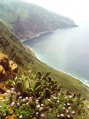 West Coast of Madeira