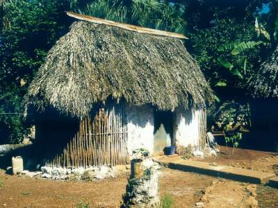 Typical Maya house
